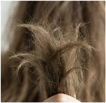 Cabelo com frizz: como lidar com volume, umidade e finalização